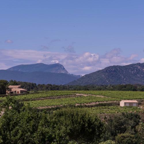 Hostal A L'ombre Du Ventoux