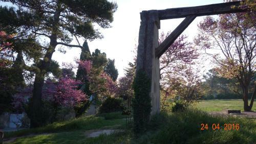 Les Lavandins-gite Fr�d�ric