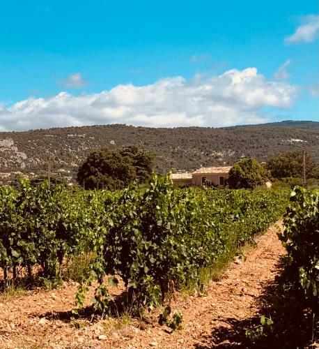 Bed & Breakfast Le Vieux Portail