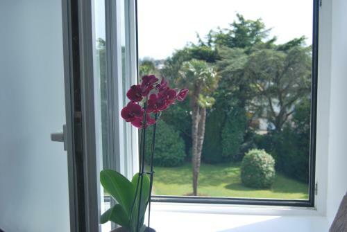 Apartamentos Appartement Le Mesnil