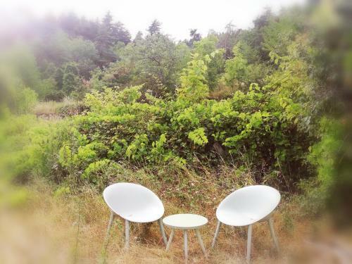 Apartamento Le Grand Bayle - Oasis Naturelle