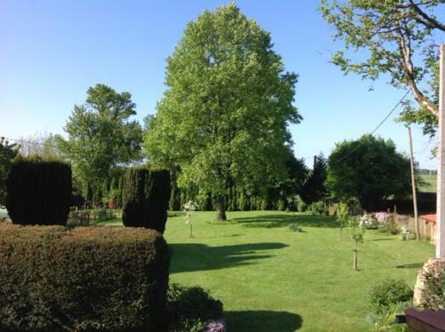 Bed & Breakfast Le Tulipier De La Serre