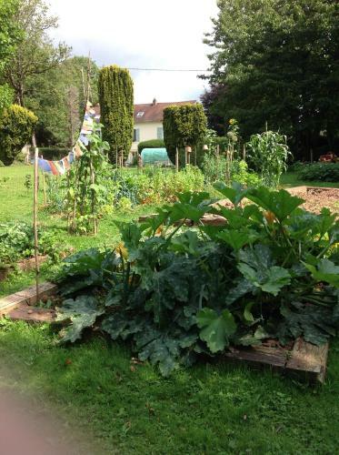 Bed & Breakfast Le Tulipier De La Serre
