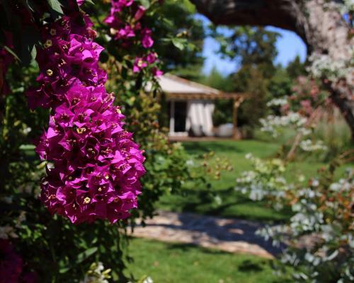 Hotel La Bastide Des Salins