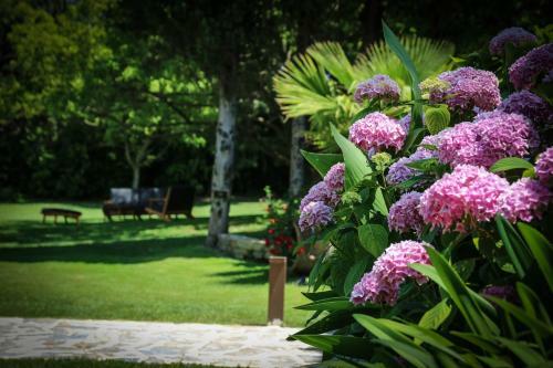 Hotel La Bastide Des Salins