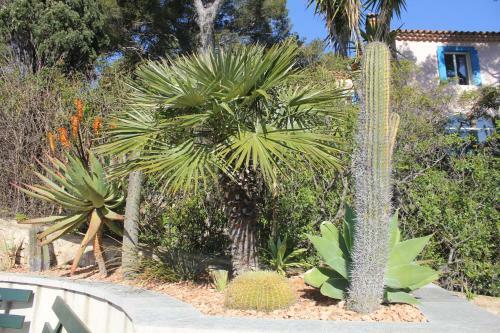 Apartamento Stellahome - L'enclos