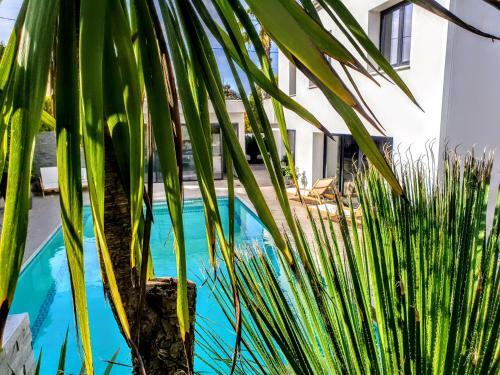 Bed & Breakfast La Villa Blanche