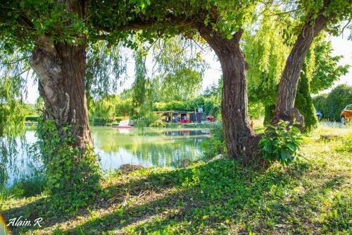 Paradise Challets And Camping