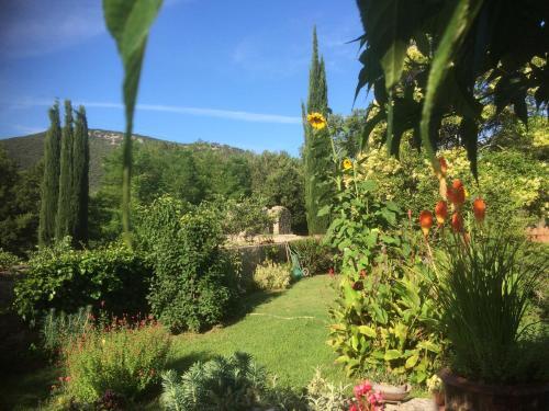 Bed & Breakfast Logis Des Magnans - Le Murier -
