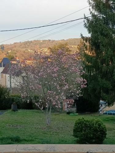 Gite Le Sarlat D'oie