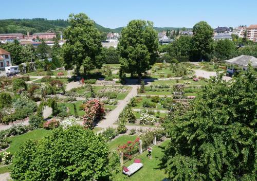 Apartamento Le Jardin Des Roses