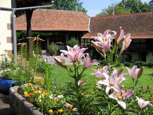 Apartamento Le G�te Des �cureuils