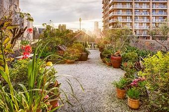 Aparthotel Regents Court Sydney