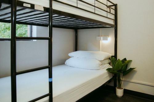 Albergue Alfred Park Accommodation