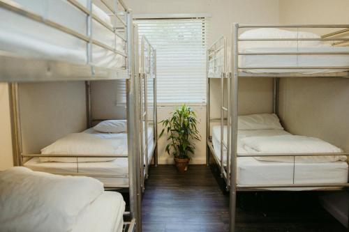 Albergue Alfred Park Accommodation