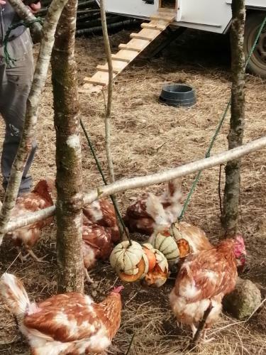 Bed & Breakfast Les Roches Restaurant & Chambre D'hotes