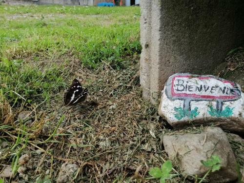 Apartamento Les Locations De St�phanie ,gite Le Verger