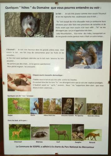 Domaine Du Para�s B&B