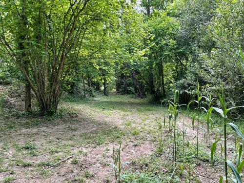 Apartamento Moulin De L'oulette