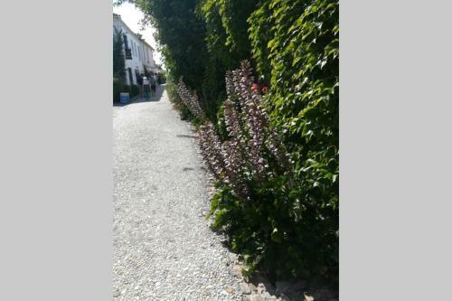 En Plein Coeur de Talmont, Maison Esprit R�tais