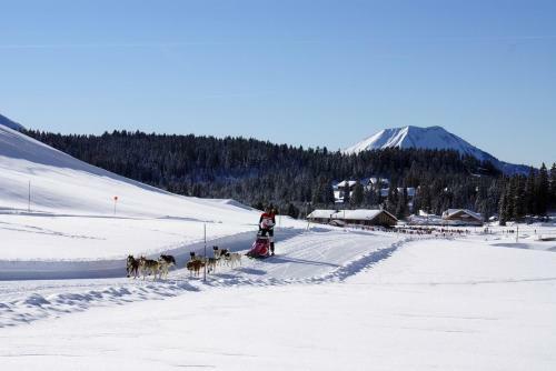 Apartamento Studio � La Montagne - Le Praz De Lys