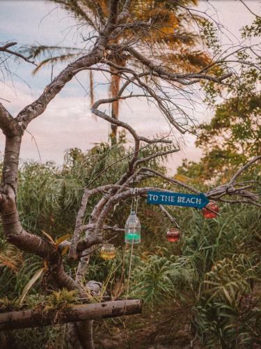 Hostal Eco-pousada Casa Bob�