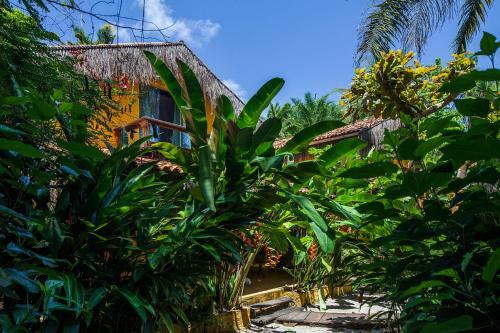 Hostal Pousada Canoa Nativa