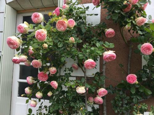 Bed & Breakfast La Bauldiniere
