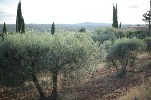 Le Jardin D'eden