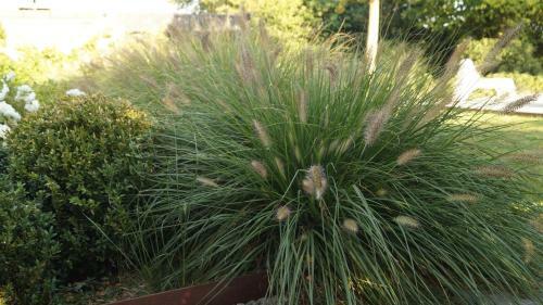 Bed & Breakfast Les Terrasses De Templeuve