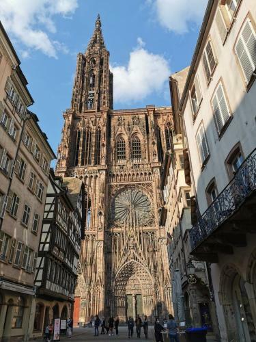 Apartamento Le Cocon - Vue Panoramique Strasbourg - Wifi - Netflix