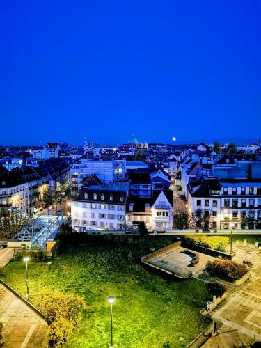 Apartamento Le Cocon - Vue Panoramique Strasbourg - Wifi - Netflix