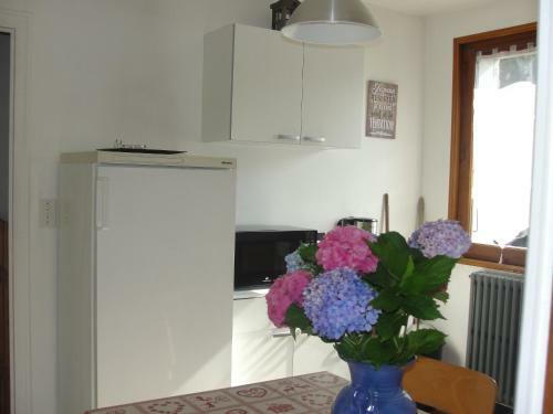 Apartamento Appartement Thones