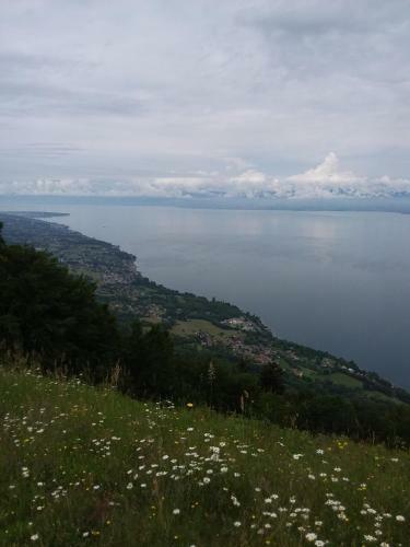 Apartamento Studio Entre Ciel Et Lac
