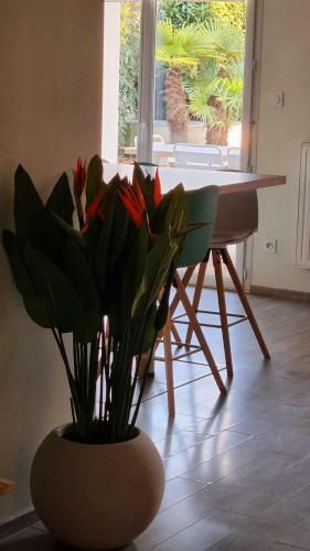 Apartamentos Le Coeur Du Saphir