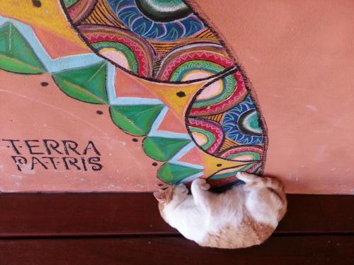 Hostal Terra Patris Atelier Pousada