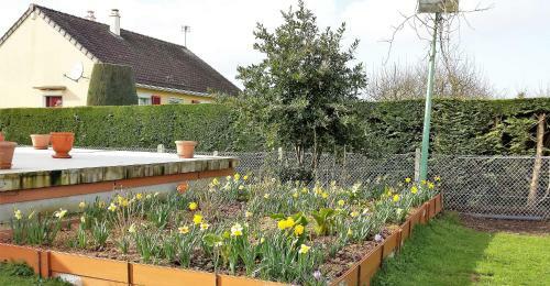 3 Chambres Priv�es Dans Un Jardin D'hiver