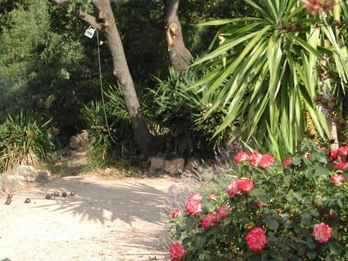Apartamento Villa Pharima