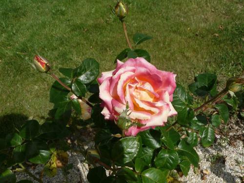 Bed & Breakfast Le Clos Des Pommiers
