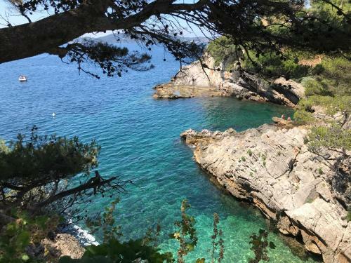 Apartamento Appartement Chevalier Paul Toulon