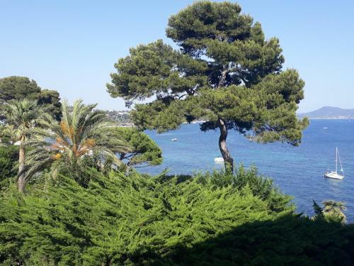 Apartamento Appartement Le Cap