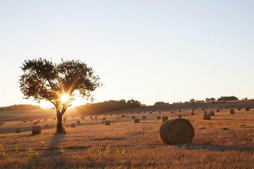 Lodge & Yourte O'naturel