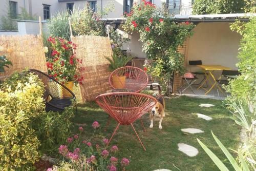 G�te Le Paul Bert - Centre Ville-parking Gratuit