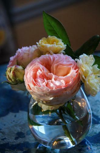 Bed & Breakfast Manoir De Beauregard - Cunault