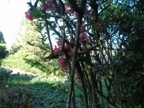 Bed & Breakfast Une Nuit Sur Loire