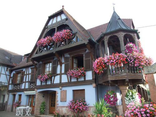 Apartamento G�te "au Vigneron"