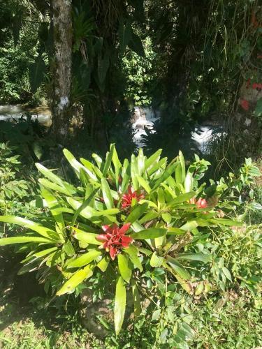 Hostal Pousada Brilho Da Natureza