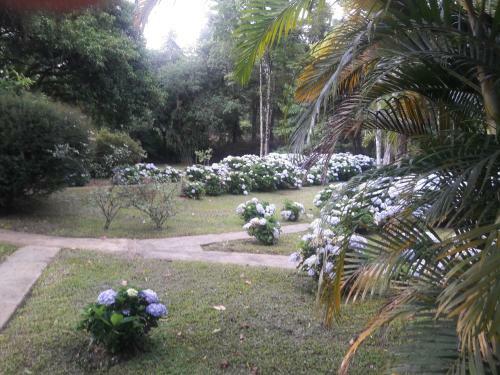 Hostal Pousada Recanto Do Pinheir�o