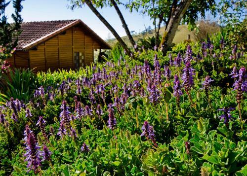 Hostal Pousada N� Da Madeira