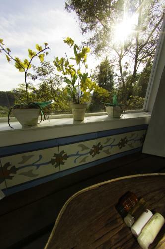 Hostal Pousada Alto Itaipava